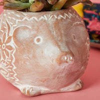 Small Floral Terracotta Hedgehog Pot
