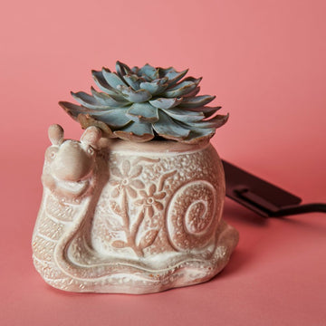 Small Floral Terracotta Snail Pot