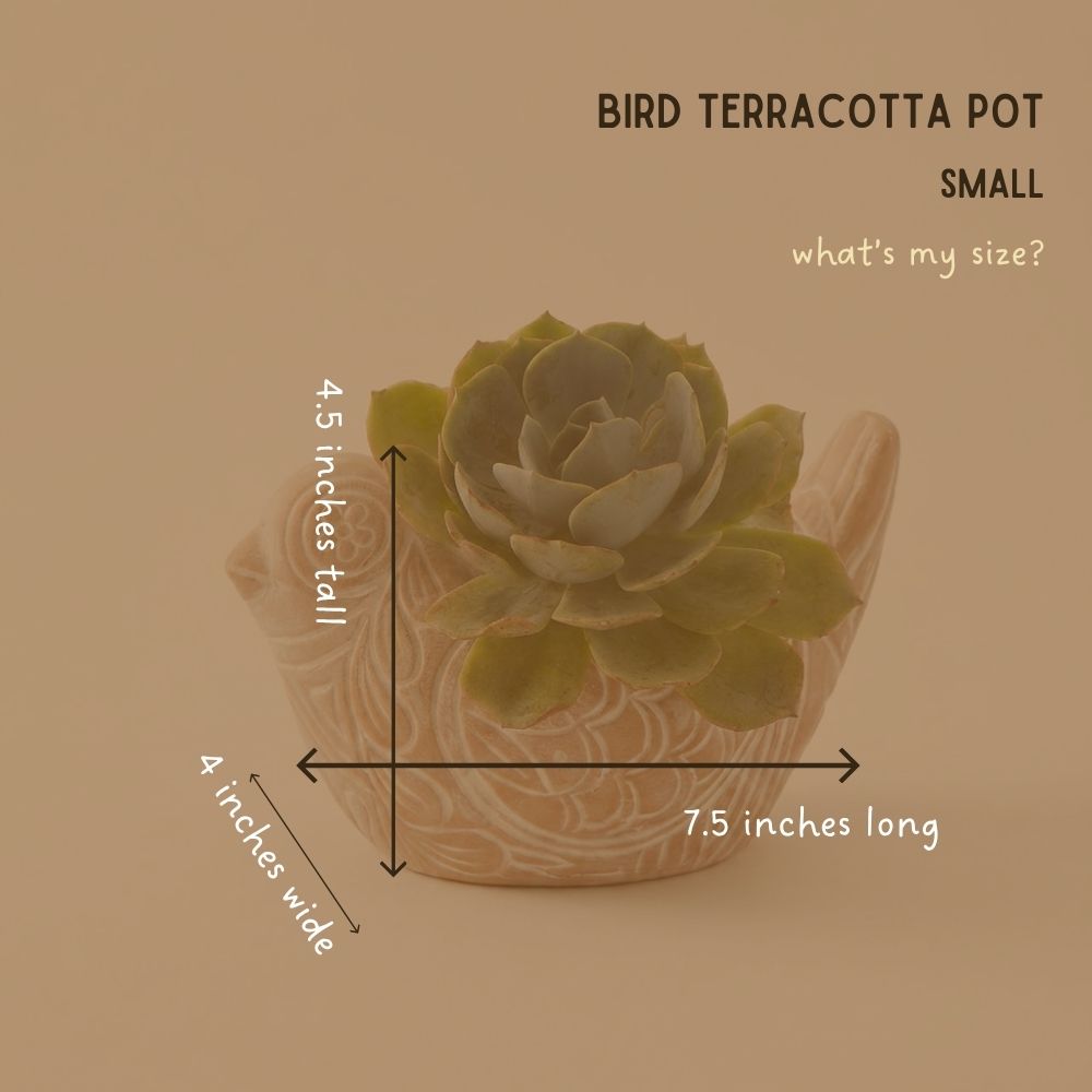Small Rangoli Terracotta Bird Pot Set