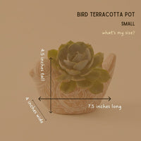 Small Rangoli Terracotta Bird Pot Set