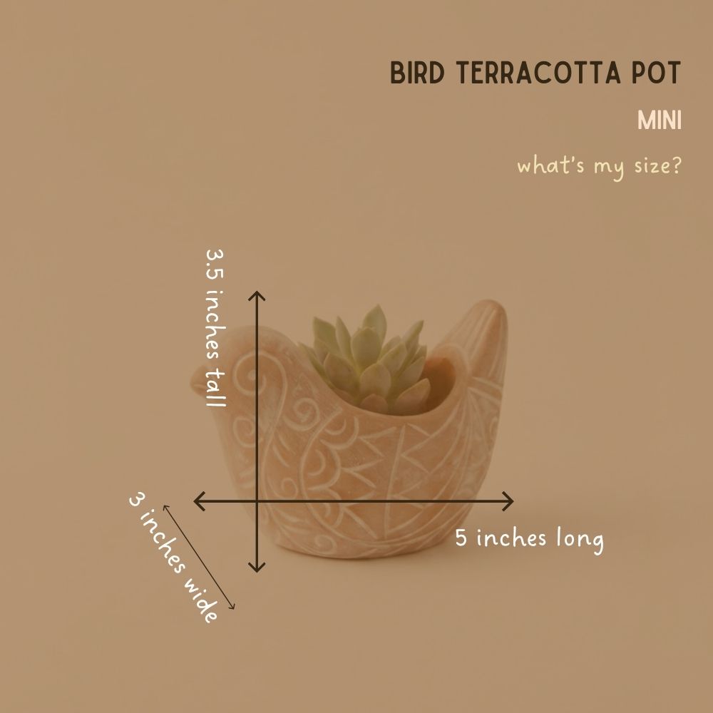 Small Rangoli Terracotta Bird Pot Set
