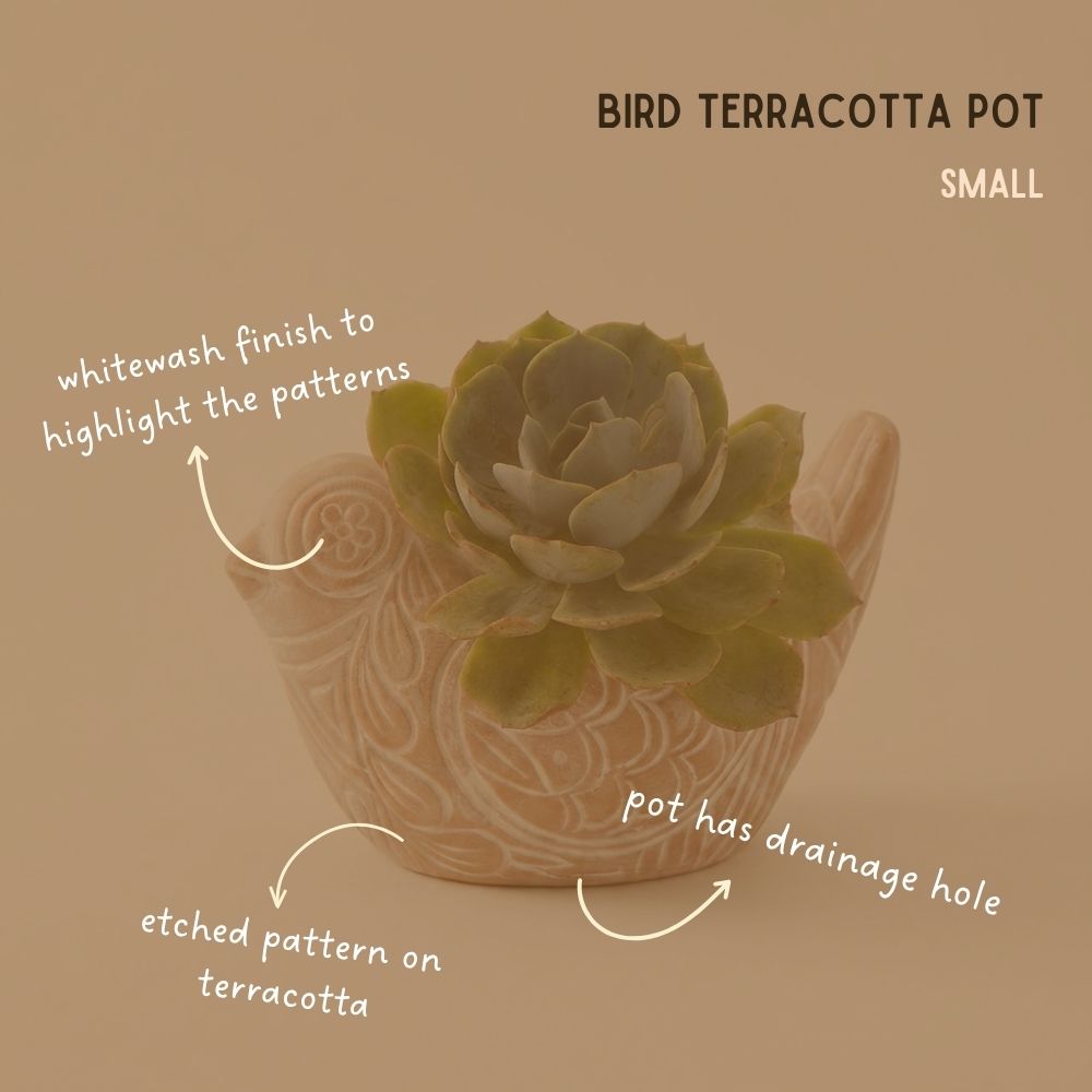 Small Rangoli Terracotta Bird Pot