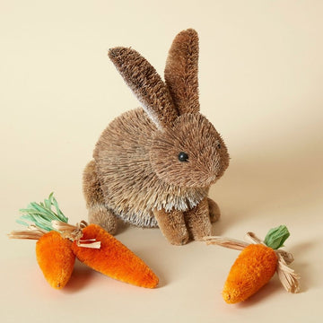 Sitting Easter Bunny Carrots Set of 4