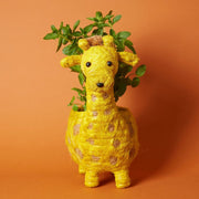 Giraffe Coir Succulent Planter