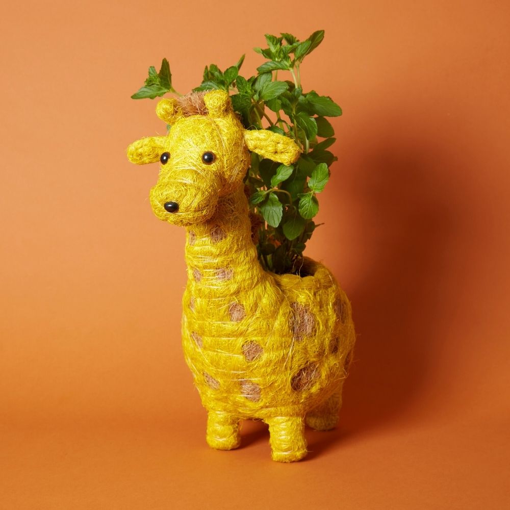 giraffe succulent planter Giraffe Coir Succulent Planter – Artisan Variety