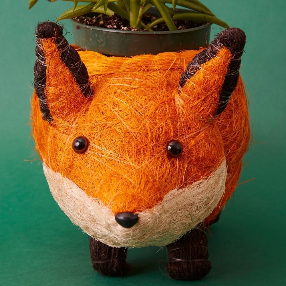 Fox Coir Succulent Planter