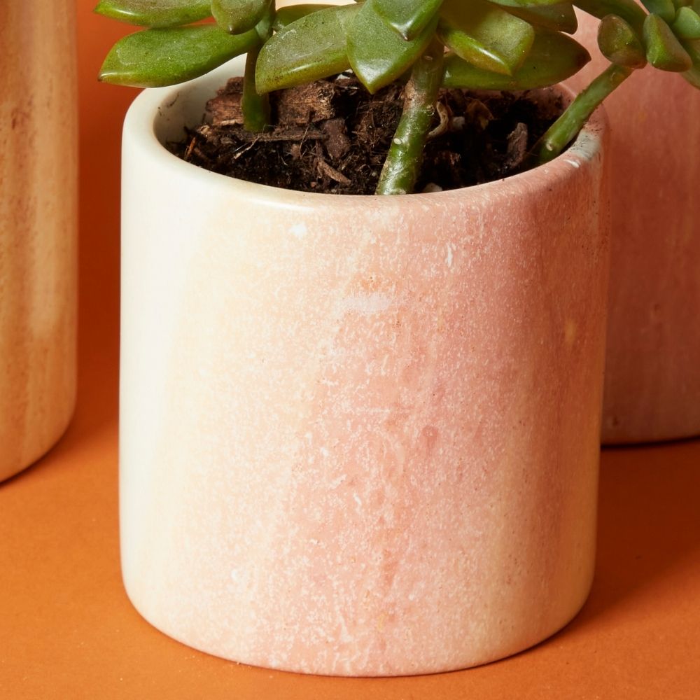 Kisii Stone Cylinder White Succulent Pot Set