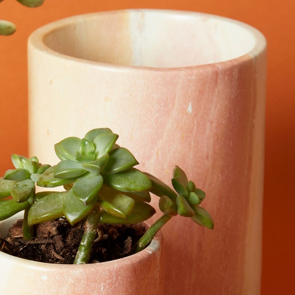 stone succulent pot Kisii Stone Cylinder White Succulent Pot Set – Artisan Variety