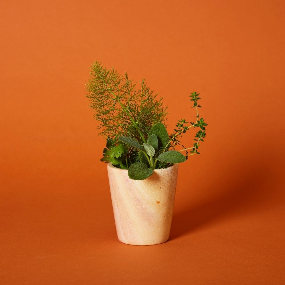 Small Kisii Stone White Succulent Pot