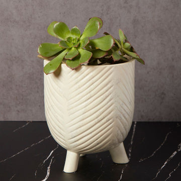 Kisii Soapstone White Footed Succulent Pot