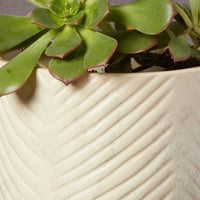 Kisii Soapstone White Footed Succulent Pot