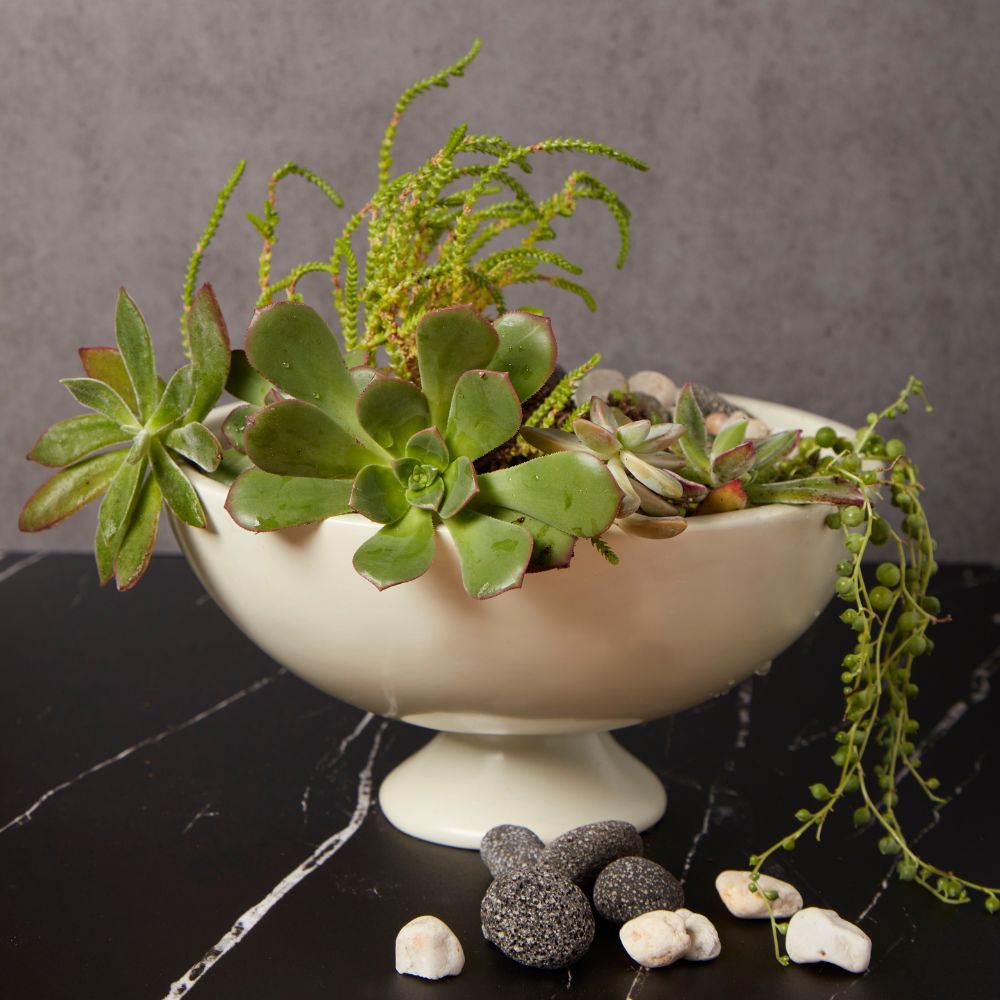 Kisii Soapstone Round Pedestal Succulent Bowl Pot