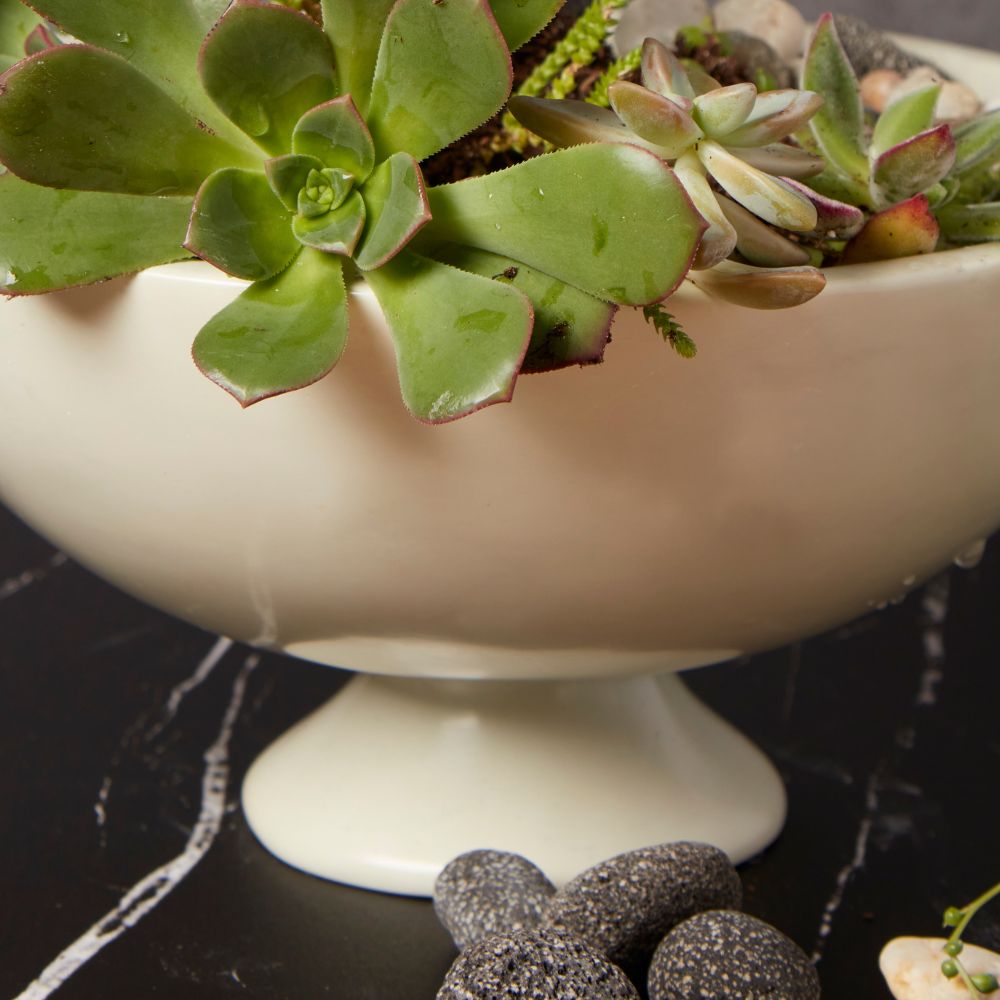 Kisii Soapstone Round Pedestal Succulent Bowl Pot