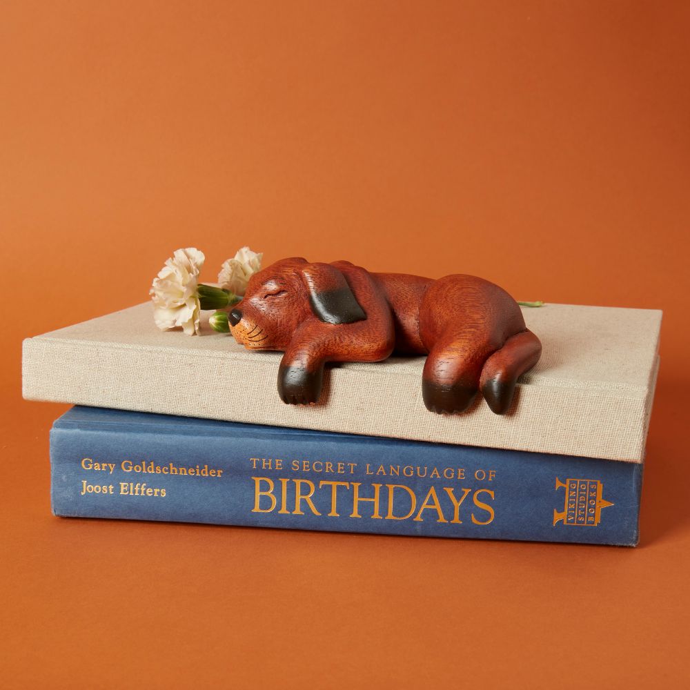Brown Sleeping Shelf Dog