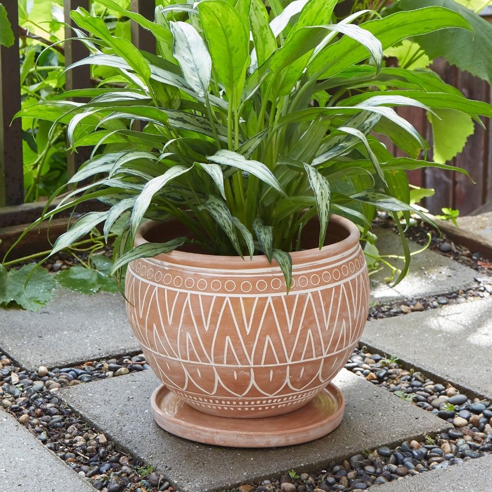 Indoor Outdoor Terracotta Belly Pots with Saucers, Rangoli Patterns