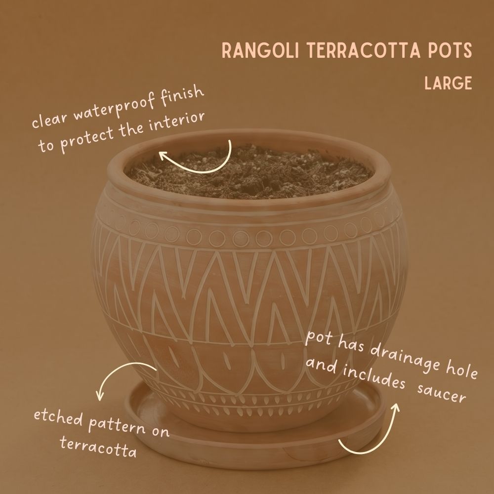 Indoor Outdoor Terracotta Belly Pots with Saucers, Rangoli Patterns