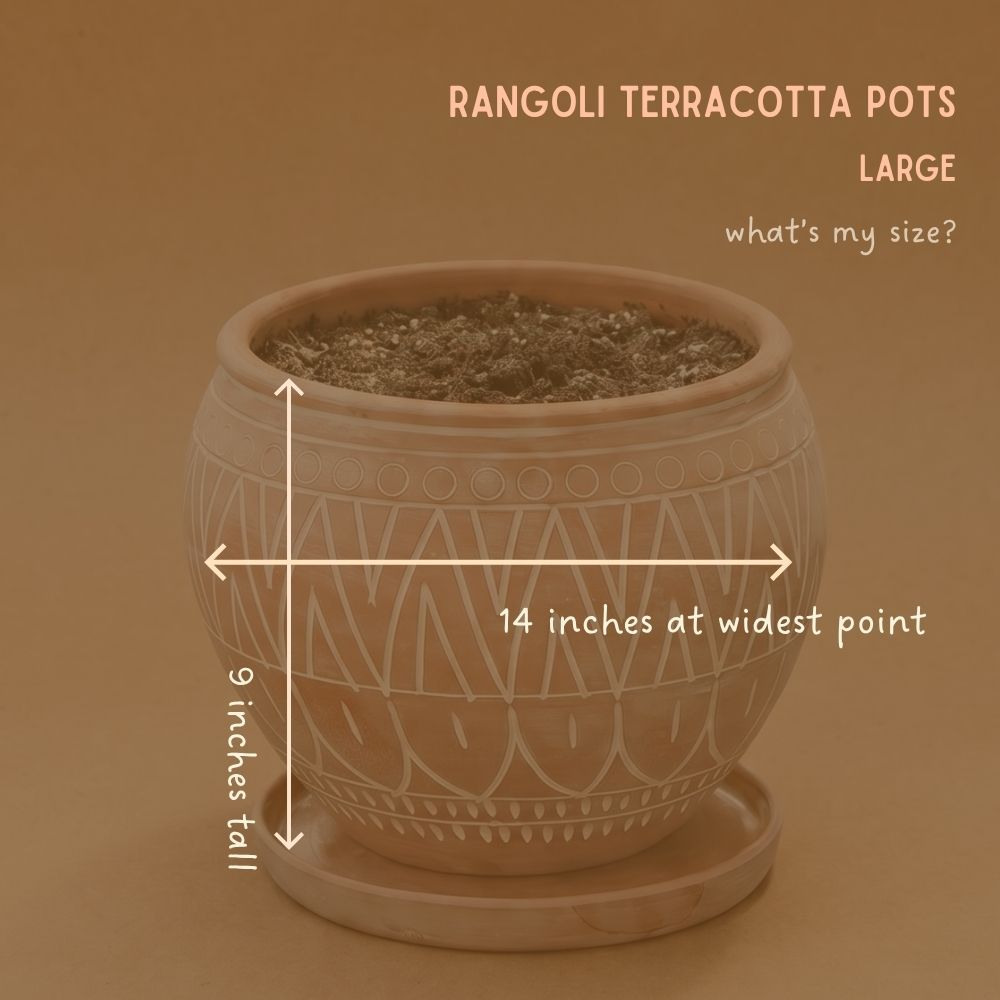 Indoor Outdoor Terracotta Belly Pots with Saucers, Rangoli Patterns