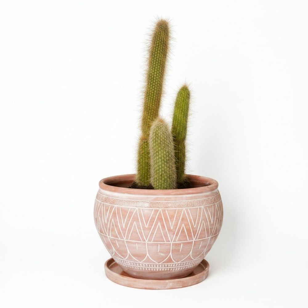 Indoor Outdoor Terracotta Belly Pots with Saucers, Rangoli Patterns