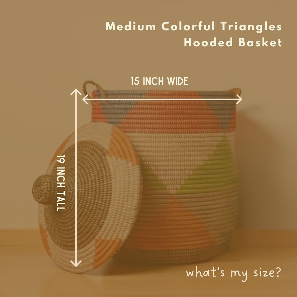 Colorful Triangles Wicker Storage Baskets