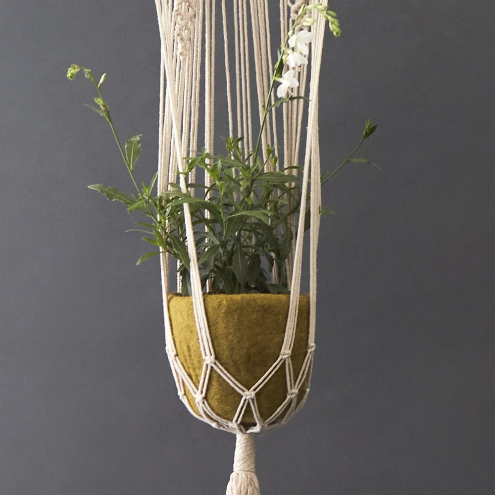 hanging succulent holder Olive Green Felt Hanging Succulent Planter Set – Artisan Variety