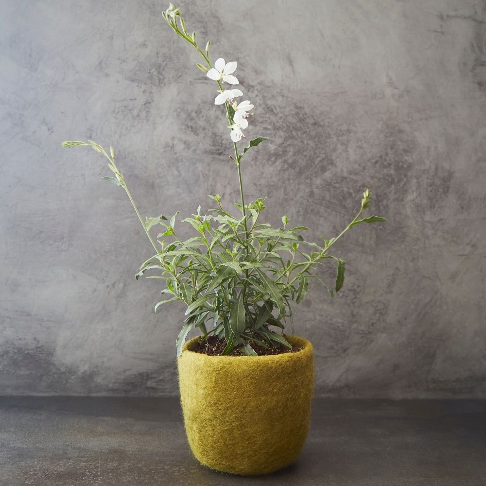 Olive Green Felt Hanging Succulent Planter Set