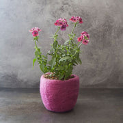 Pink Felt Succulent Planter