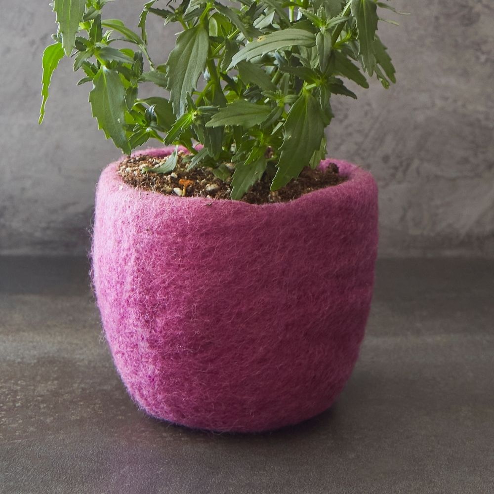 Pink Felt Succulent Planter