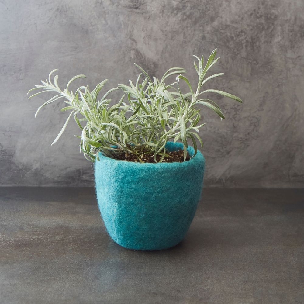 Turquoise Felt Succulent Planter