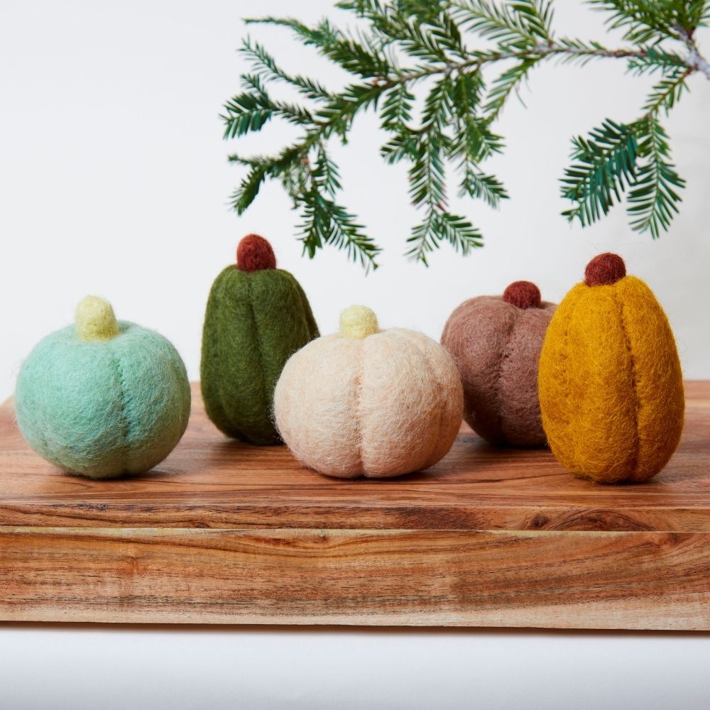 Fall Harvest Mini Pumpkin Set of 5