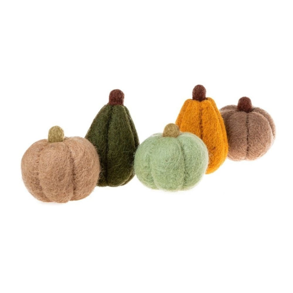 Fall Harvest Mini Pumpkin Set of 5