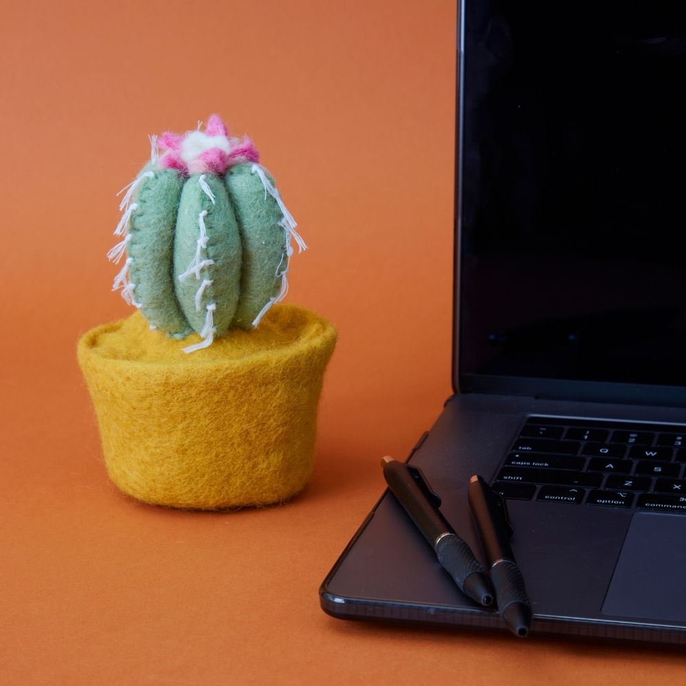 Felt Teal Cactus Pot Set