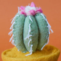 Felt Teal Cactus Pot Set