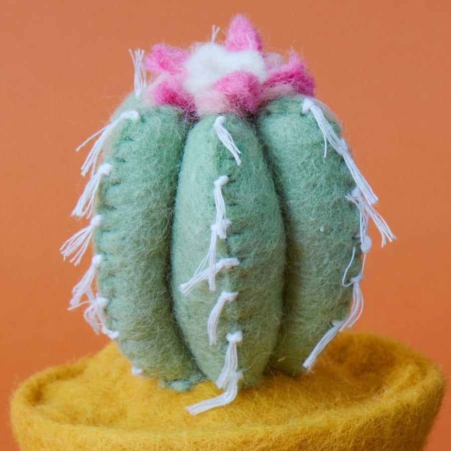 Felt Teal Cactus Pot Set