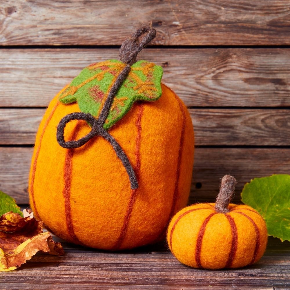 Felt Raisin Large Felt Fall Pumpkin Set of 2 – Artisan Variety