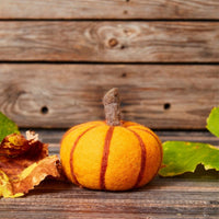 Large Felt Fall Pumpkin Set of 2