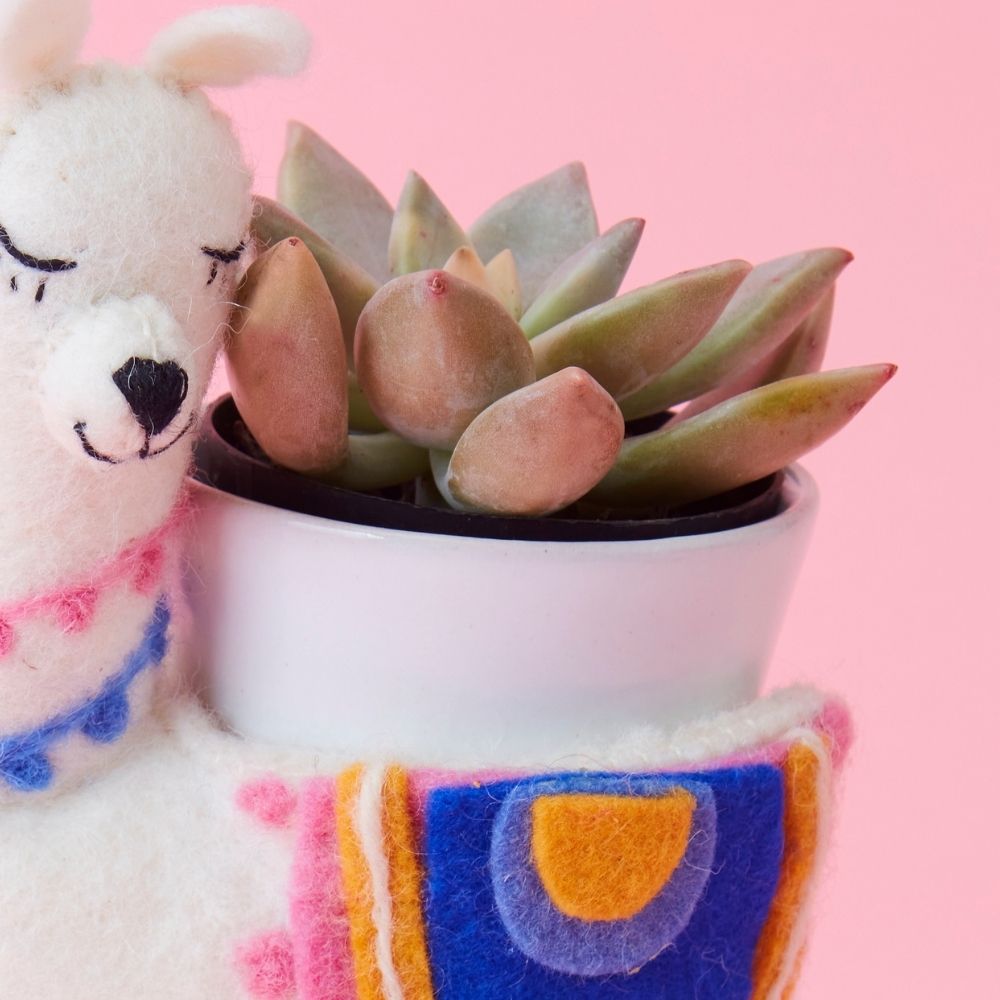 llama planter pot Felt Llama Ceramic Planter – Artisan Variety