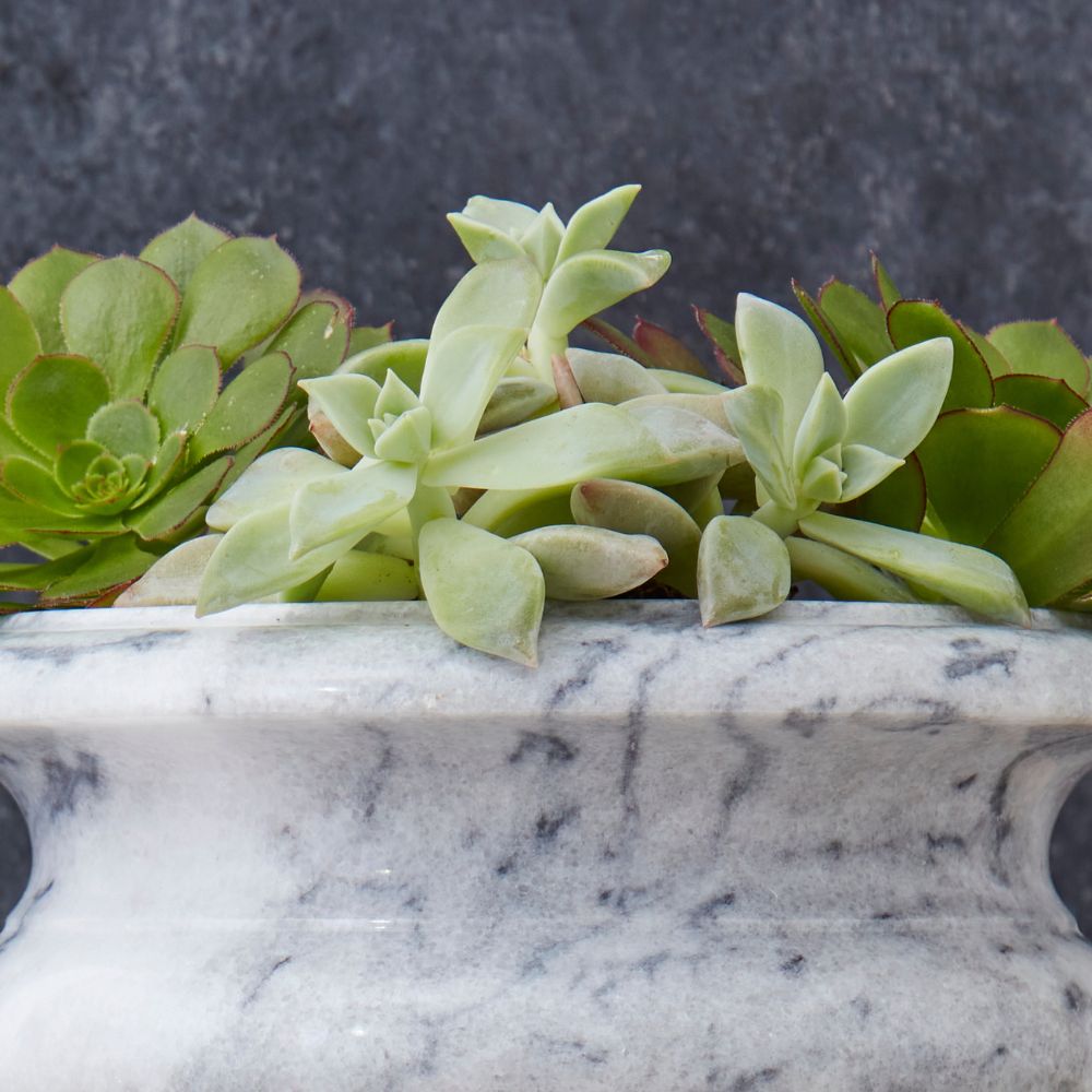 marble succulent planter Gray Marble Succulent Planter Urn – Artisan Variety