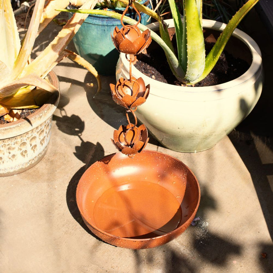 Lotus Cups Rain Chain & Bird Bath