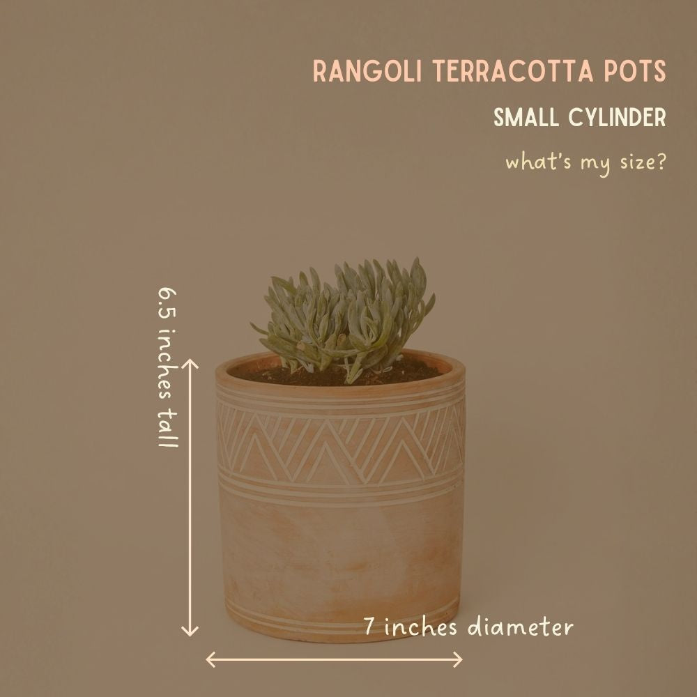 Indoor Outdoor Terracotta Cylinder Pots, Rangoli Patterns