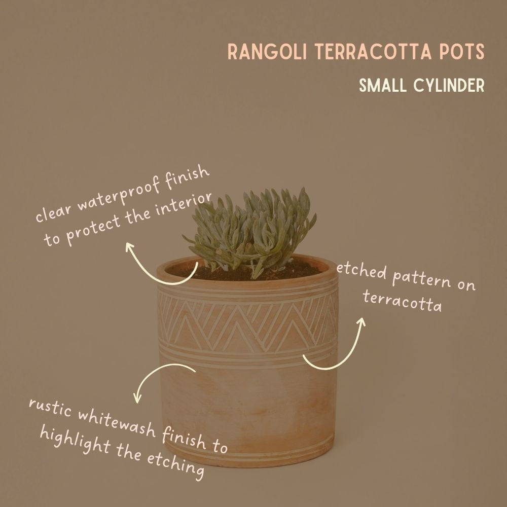 Indoor Outdoor Terracotta Cylinder Pots, Rangoli Patterns