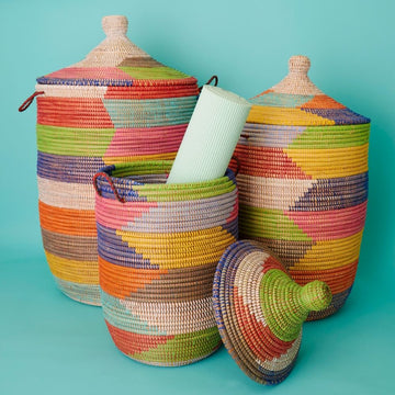 Colorful Hooded Lid Storage Basket Set of 3