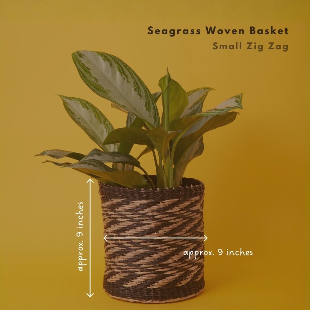 Small Seagrass Woven Basket, Natural Black, 9" Wide