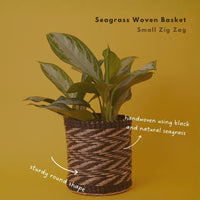 Small Seagrass Woven Basket, Natural Black, 9" Wide