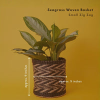 Small Seagrass Woven Basket, Natural Black, 9" Wide