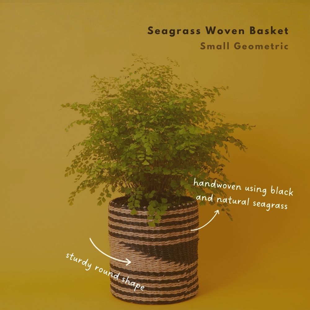 Small Seagrass Woven Basket, Natural Black, 9" Wide
