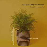 Small Seagrass Woven Basket, Natural Black, 9" Wide