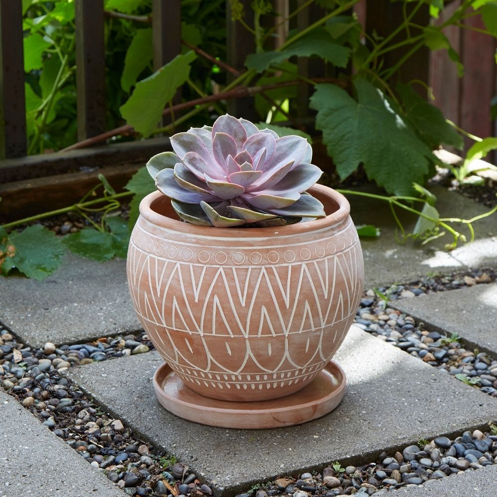 Small Rangoli Terracotta Belly Pot Saucer
