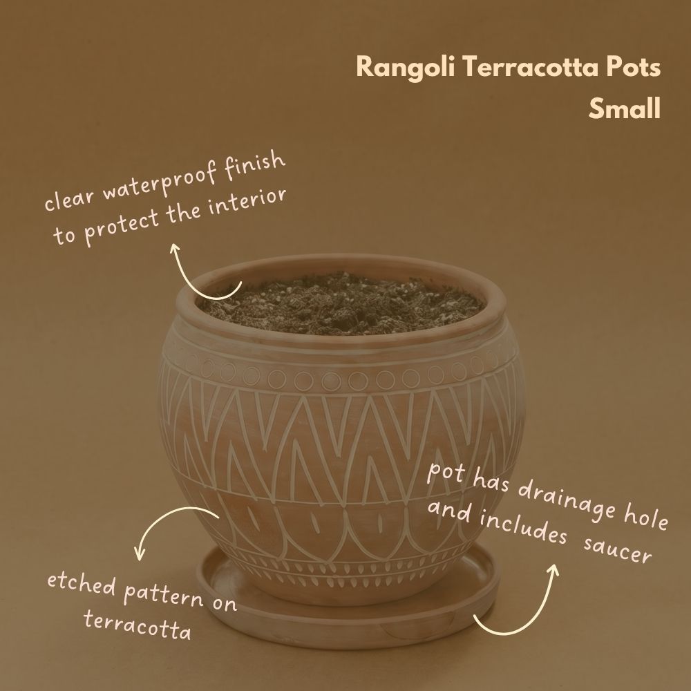 Small Rangoli Terracotta Belly Pot Saucer