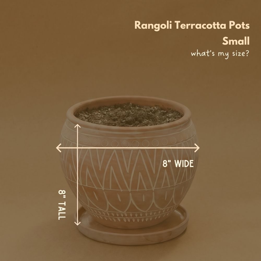 Small Rangoli Terracotta Belly Pot Saucer