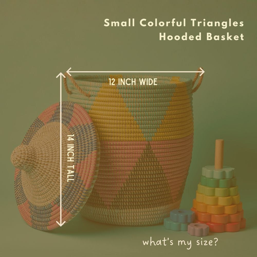 Colorful Triangles Wicker Storage Baskets